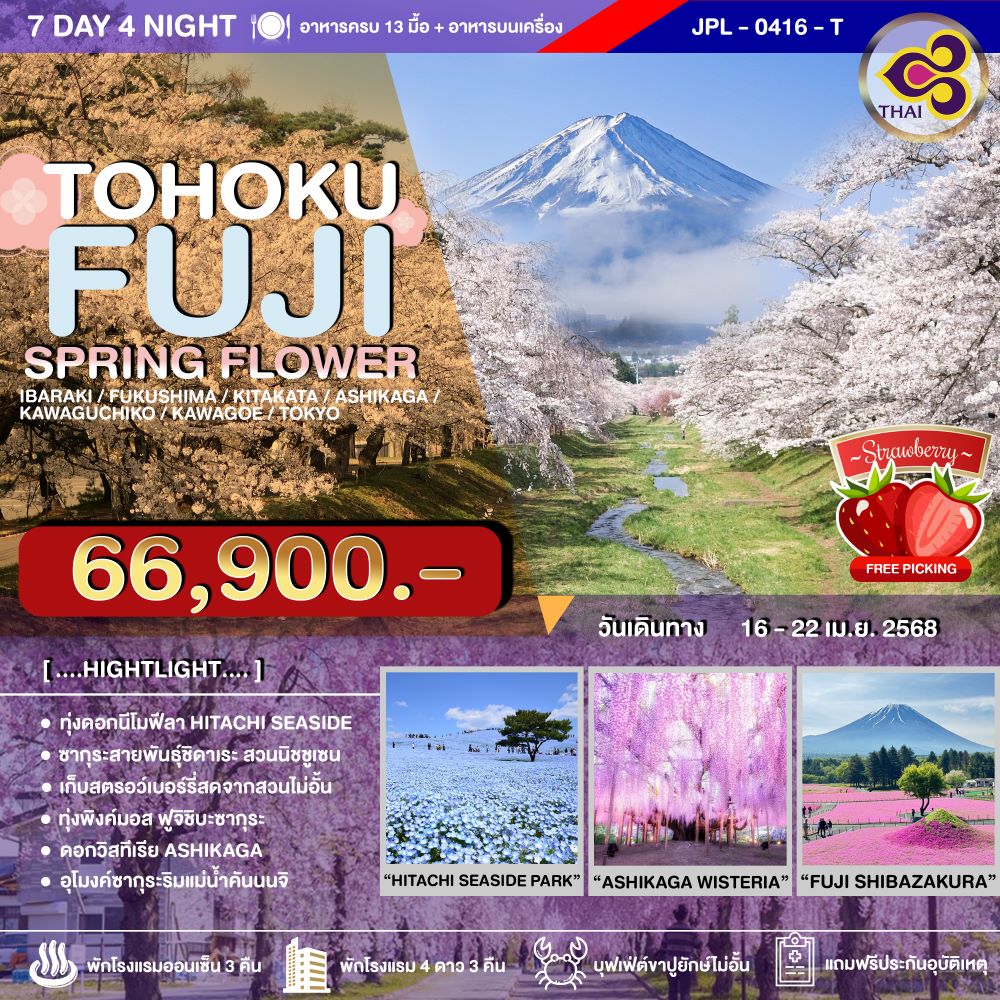 JPL-0416-T ทัวร์ญี่ปุ่น TOHOKU FUJI SPRING FLOWER 7วัน 4คืน